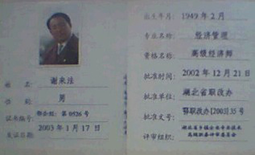高级经济师_2010年高级经济师串讲资料